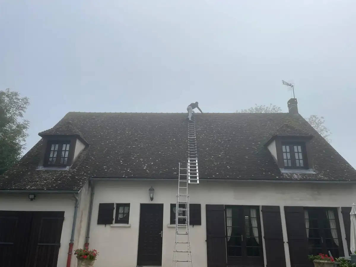 Maison à deux lucarnes sous un ciel gris, toiture grise de mousse, un compagnon sur l'échelle